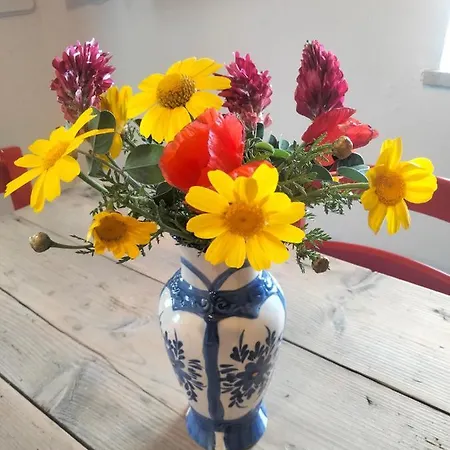 Cala Rossa Affittacamere 3*