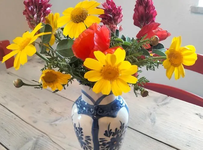 Cala Rossa 招待所 3*